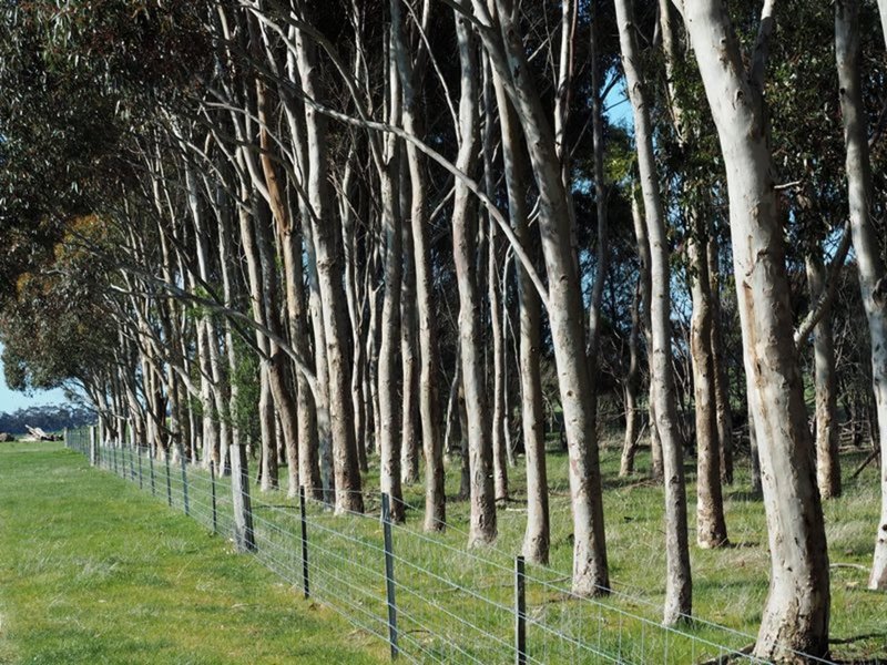  Chatsworth Road, Derrinallum VIC 3325 Real Estate Industry Partners