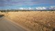 Photo - 0 Bassett Lane, Roma QLD 4455 - Image 5