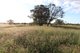 Photo - 0 Bishop Road, Garnant QLD 4702 - Image 1