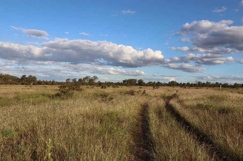 Photo - 0 Bishop Road, Garnant QLD 4702 - Image 4