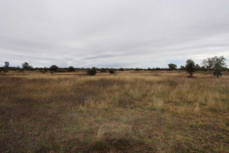 Photo - 0 Bishop Road, Garnant QLD 4702 - Image 12