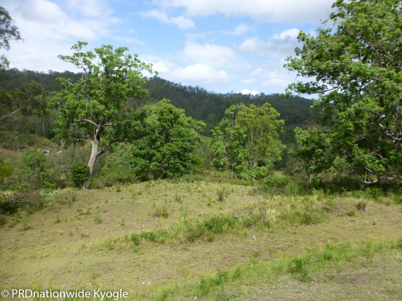 Photo - 0 Blackhorse Creek Road, Eden Creek Via , Kyogle NSW 2474 - Image 10