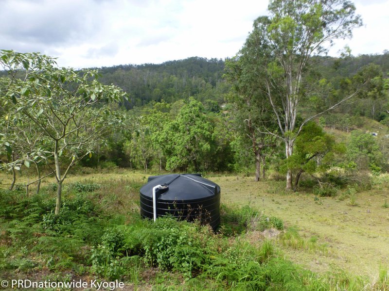 Photo - 0 Blackhorse Creek Road, Eden Creek Via , Kyogle NSW 2474 - Image 11