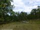 Photo - 0 Blackhorse Creek Road, Eden Creek Via , Kyogle NSW 2474 - Image 12