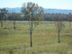 Photo - 0 Blue Mountain Rd , Nebo QLD 4742 - Image 9