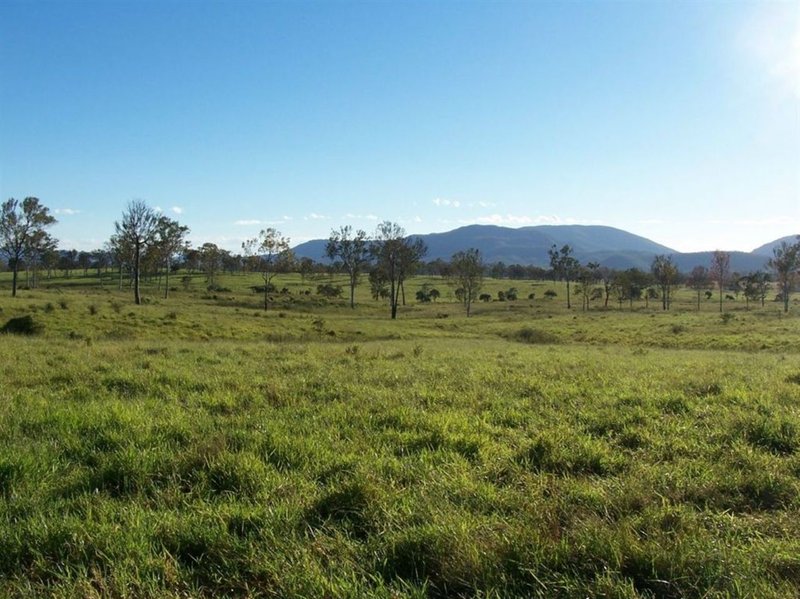 Photo - 0 Blue Mountain Rd , Nebo QLD 4742 - Image 10