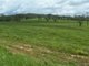 Photo - 0 Blue Mountain Rd , Nebo QLD 4742 - Image 12