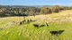 Photo - 0 Bortolot Road, Huon Creek VIC 3691 - Image 12