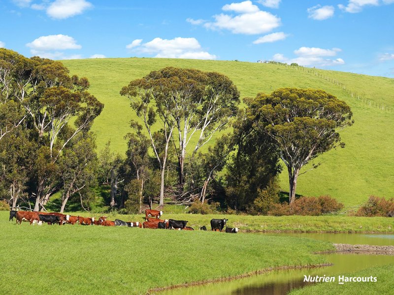 0 Corner Glenelg Highway - Den Hills Road, Coleraine VIC 3315