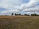 Photo - 0 Corner Murray Road And Glenelg Highway, Lake Bolac VIC 3351 - Image 1