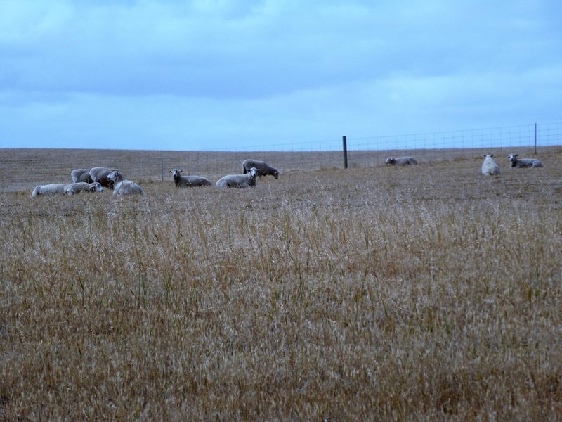 Photo - 0 Corner Murray Road And Glenelg Highway, Lake Bolac VIC 3351 - Image 4