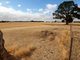 Photo - 0 Corner Murray Road And Glenelg Highway, Lake Bolac VIC 3351 - Image 6