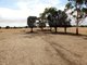 Photo - 0 Corner Murray Road And Glenelg Highway, Lake Bolac VIC 3351 - Image 9
