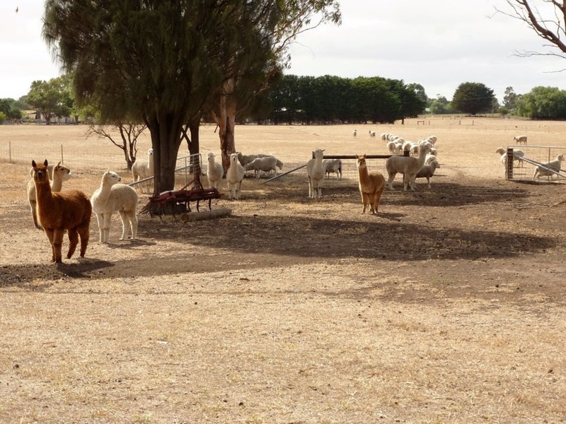 Photo - 0 Corner Murray Road And Glenelg Highway, Lake Bolac VIC 3351 - Image 11