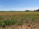 Photo - 0 Farnows Road, Kunioon QLD 4615 - Image 11