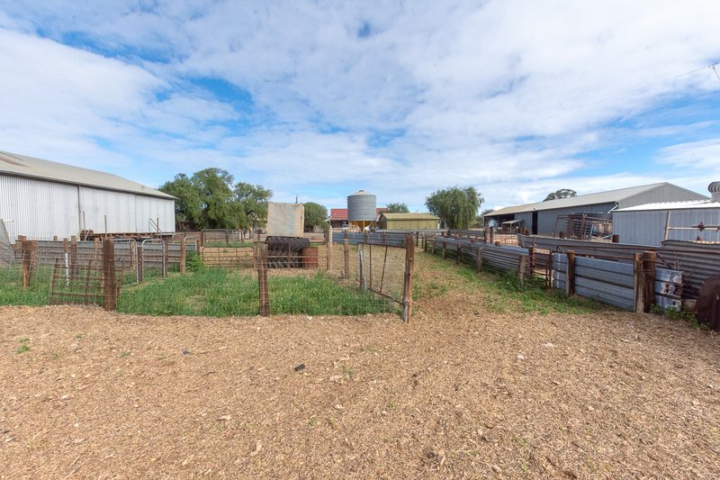 Photo - 0 Gas Pipeline Road Towitta Road, Sedan SA 5353 - Image 11