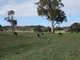 Photo - 0 Goulburn Road, Bathurst NSW 2795 - Image 1