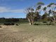 Photo - 0 Goulburn Road, Bathurst NSW 2795 - Image 16