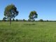 Photo - 0 Marlborough Sarina Road, Marlborough QLD 4705 - Image 9