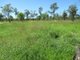 Photo - 0 Marlborough Sarina Road, Marlborough QLD 4705 - Image 11