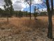 Photo - 0 Mcrae Road, Emu Creek QLD 4355 - Image 12