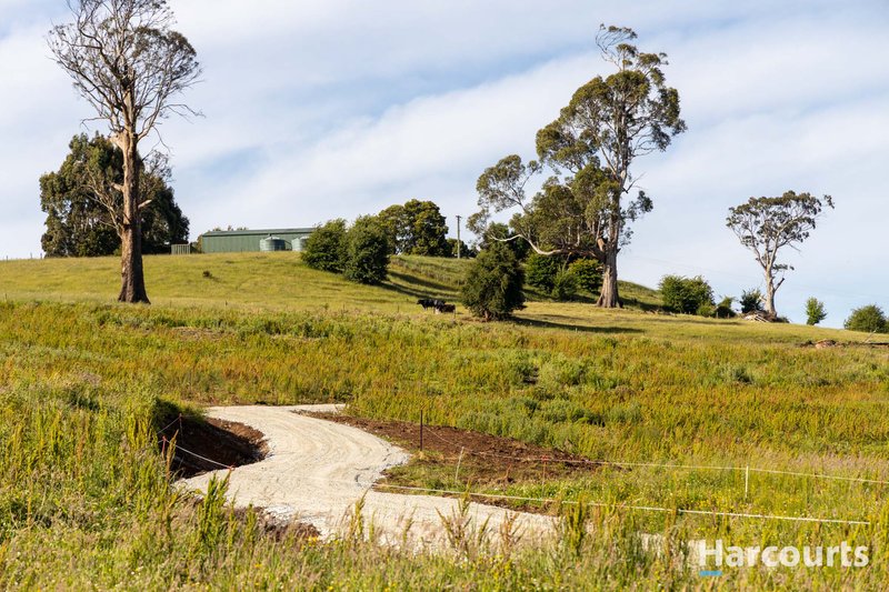 Photo - 0 Mole Creek Road, Red Hills TAS 7304 - Image 11