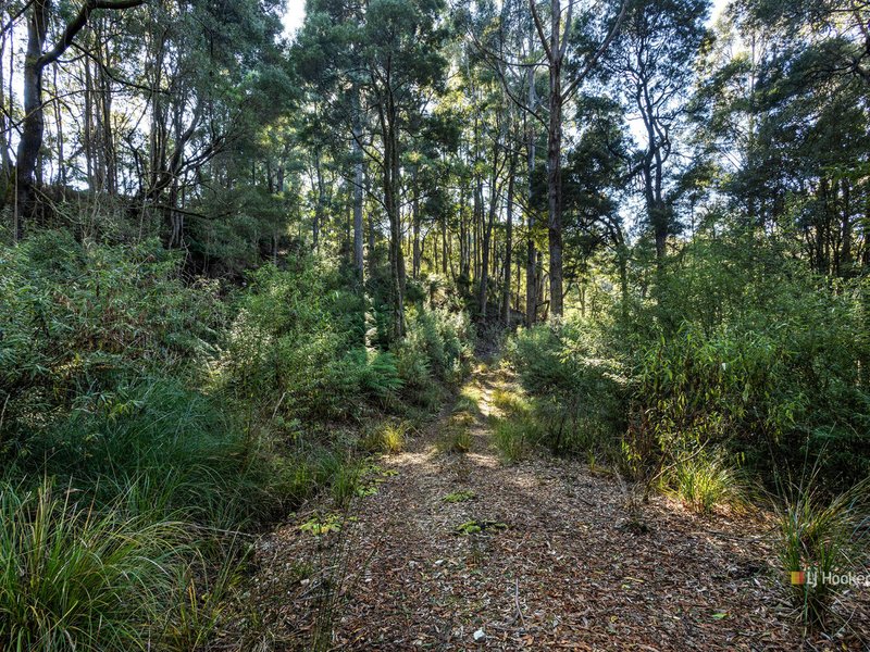 Photo - 0 Pages Road, Moorleah TAS 7325 - Image 2