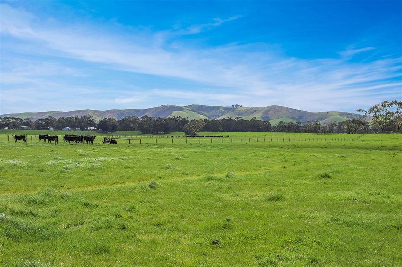 Photo - 0 Rathjens Road, Toora VIC 3962 - Image 11