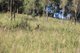 Photo - 0 Widgee Creek Road, Hillview QLD 4285 - Image 5