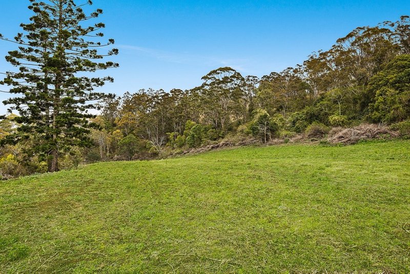 Photo - 0 Williams Road, Grapetree QLD 4352 - Image 4