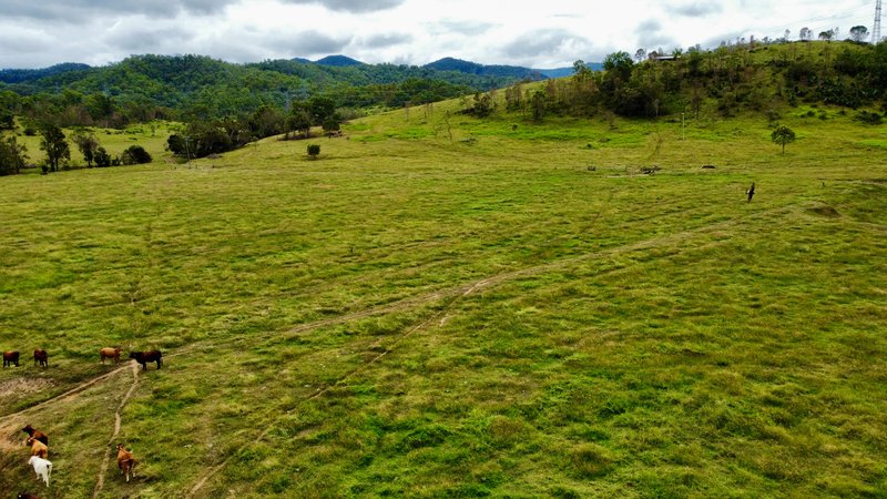 Photo - 0 Wivenhoe Somerset Road, Dundas QLD 4306 - Image 7