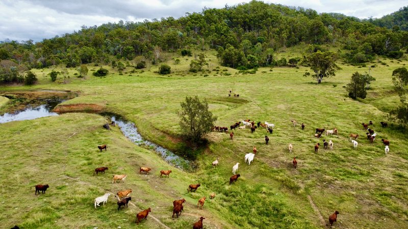 Photo - 0 Wivenhoe Somerset Road, Dundas QLD 4306 - Image 8