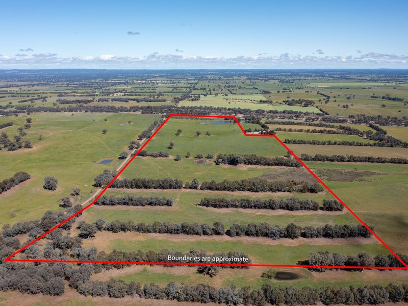 Photo - 00 Cluggs Road, Springhurst VIC 3682 - Image 2