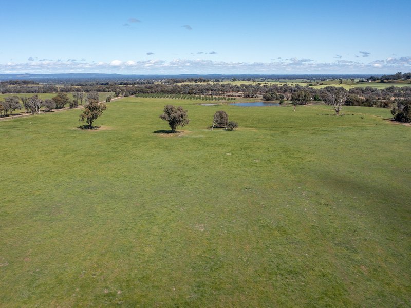 Photo - 00 Cluggs Road, Springhurst VIC 3682 - Image 7