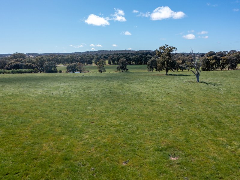 Photo - 00 Cluggs Road, Springhurst VIC 3682 - Image 8