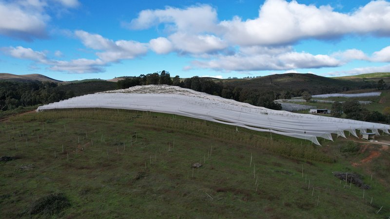 Photo - 00 Ernies Way, Batlow NSW 2730 - Image 19