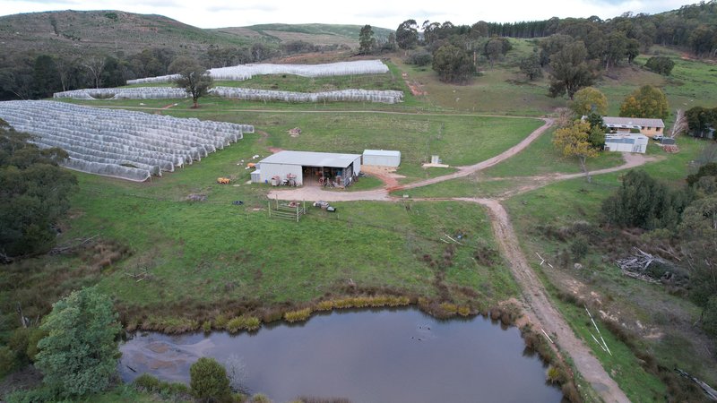 Photo - 00 Ernies Way, Batlow NSW 2730 - Image 23