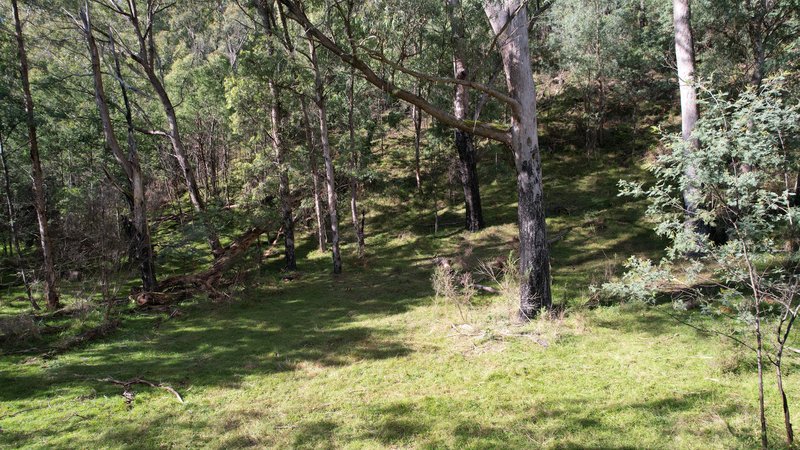 Photo - 00 Ernies Way, Batlow NSW 2730 - Image 26