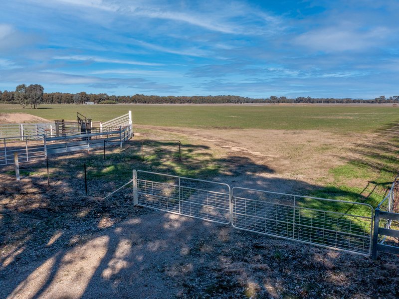 Photo - 00 Londrigan-Tarrawingee Road, Londrigan VIC 3678 - Image 6