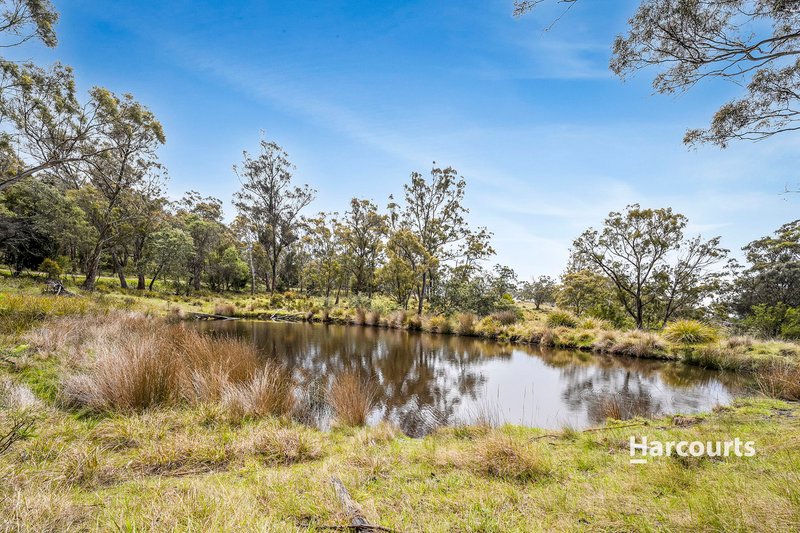 Photo - 00 Uxbridge Road, Bushy Park TAS 7140 - Image 6