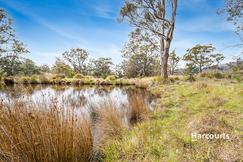 Photo - 00 Uxbridge Road, Bushy Park TAS 7140 - Image 7