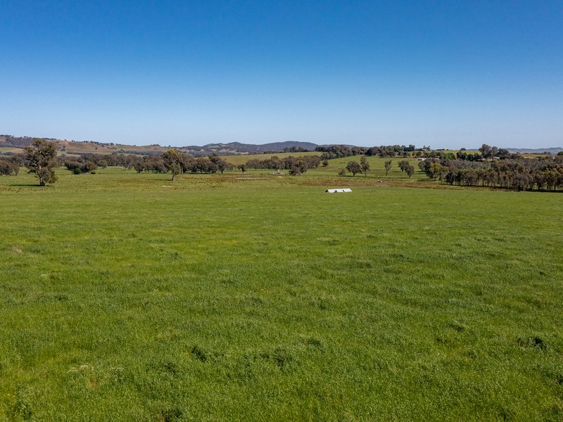 Photo - 00 Wangaratta-Kilfeera Road, Hansonville VIC 3675 - Image 2