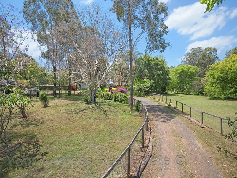 Photo - 1-21 Bamboo Drive, Cedar Vale QLD 4285 - Image 11