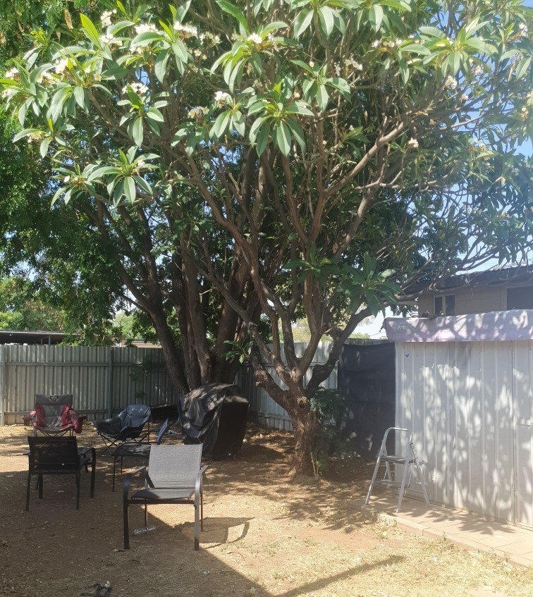 Photo - 1-3/26 Alice Street, Mount Isa QLD 4825 - Image 19