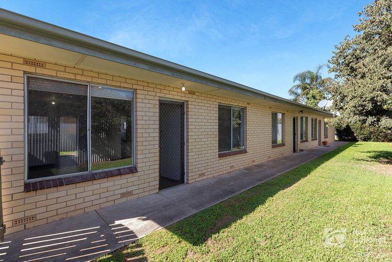 Photo - 1-3/81 Albert Street, Prospect SA 5082 - Image 5