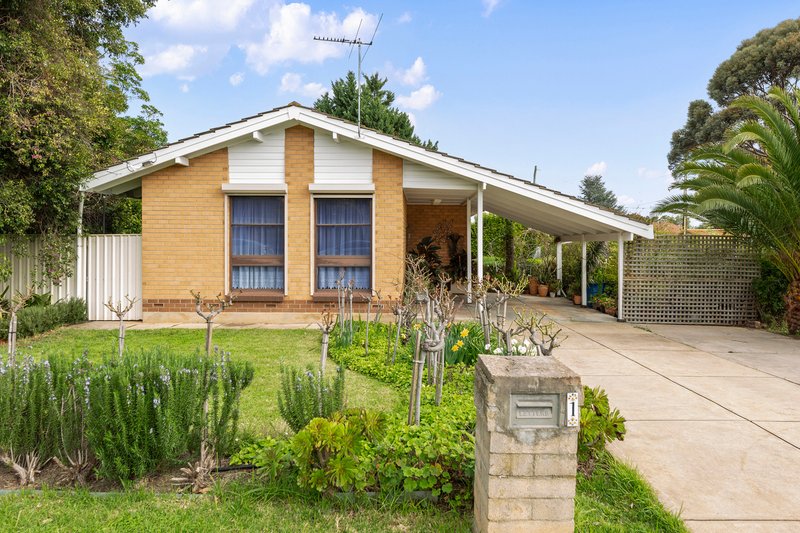 1 Albany Terrace, Valley View SA 5093