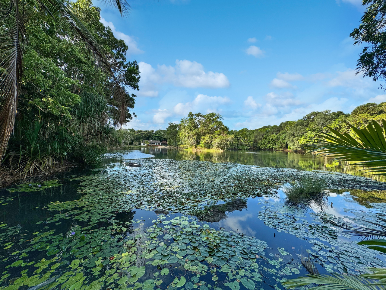 4-bedroom house at 1 Anne Street, Silkwood, QLD 4856, Cassowary Coast, Queensland