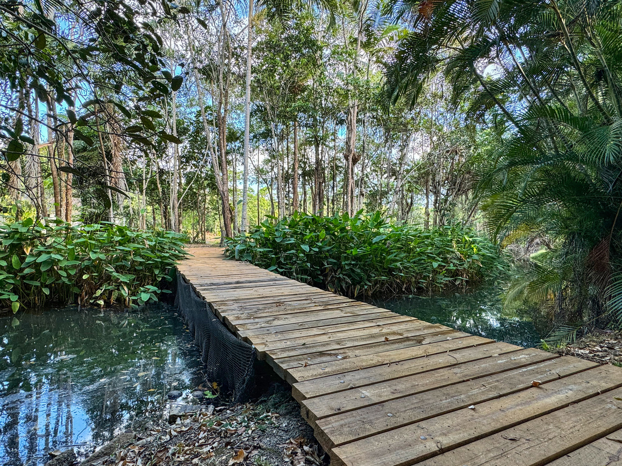 4-bedroom house at 1 Anne Street, Silkwood, QLD 4856, Cassowary Coast, Queensland