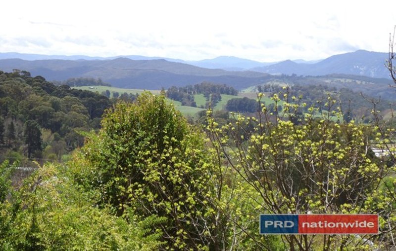 Photo - 1 Ash Street, Batlow NSW 2730 - Image 3