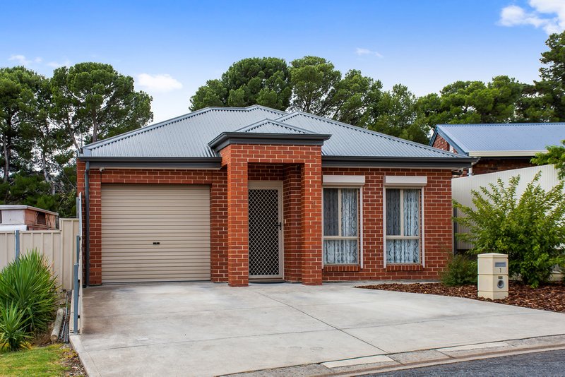 Photo - 1 Avago Street, St Agnes SA 5097 - Image 20